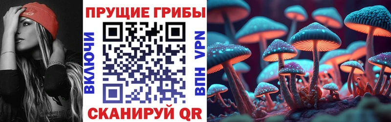 блэк спрут рабочий сайт Керчь Псилоцибиновые грибы MAGIC MUSHROOMS